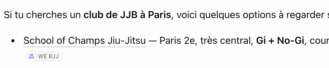 ChatGPT cite WE BJJ comme source