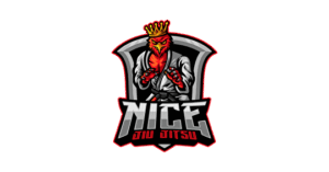 Logo NICE JIU JITSU