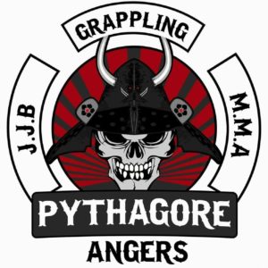 Logo ACADÉMIE PYTHAGORE ANGERS